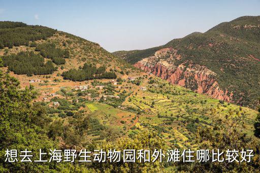 想去上海野生動(dòng)物園和外灘住哪比較好