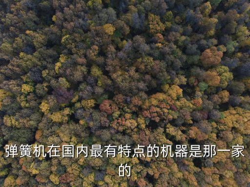 彈簧機在國內最有特點的機器是那一家的