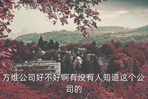 方維公司好不好啊有沒有人知道這個公司的