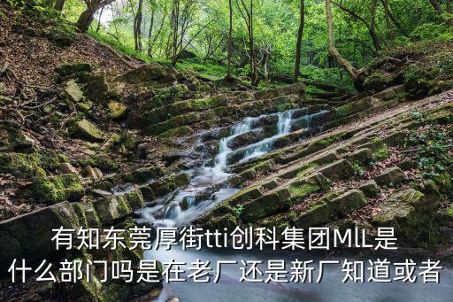 東莞tti各部門簡稱，在tti集團(tuán)cpt是什么部門