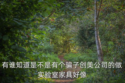 有誰知道是不是有個騙子創美公司的做實驗室家具好像