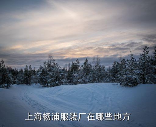 上海楊浦服裝廠在哪些地方