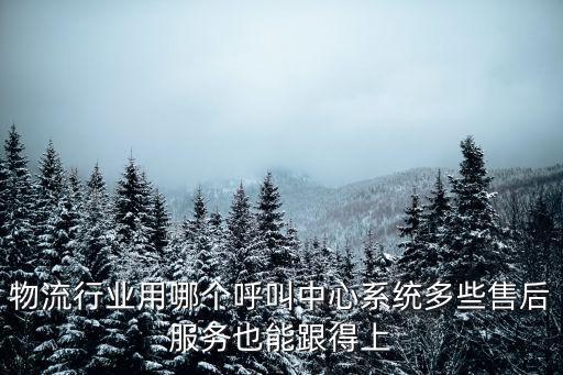物流行業用哪個呼叫中心系統多些售后服務也能跟得上