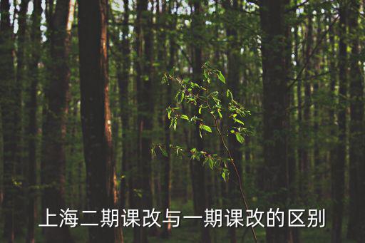 二次課改上海市，上海二期課改與一期課改的區別