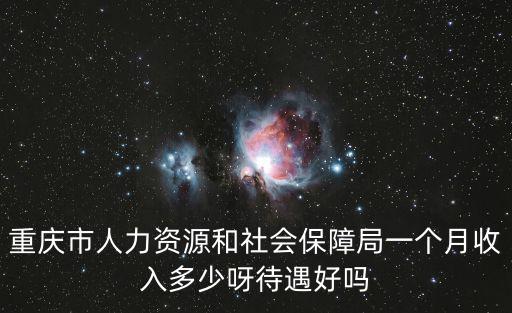 重慶市人力資源和社會保障局一個月收入多少呀待遇好嗎