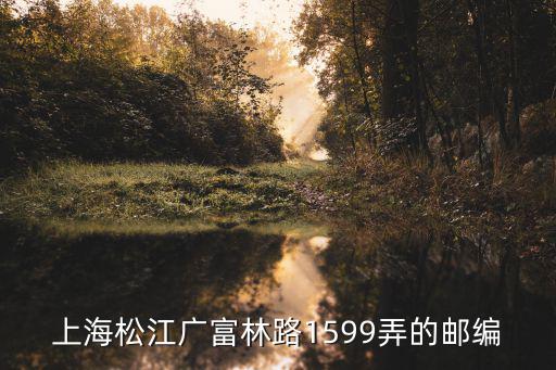 上海市松江區(qū)廣富林街道郵編，上海市松江區(qū)的郵政編碼是多少  多謝大家