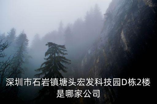 深圳市石巖鎮塘頭宏發科技園D棟2樓是哪家公司