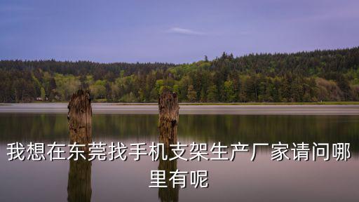 我想在東莞找手機支架生產廠家請問哪里有呢