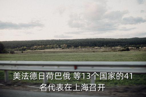 美法德日荷巴俄 等13個國家的41名代表在上海召開