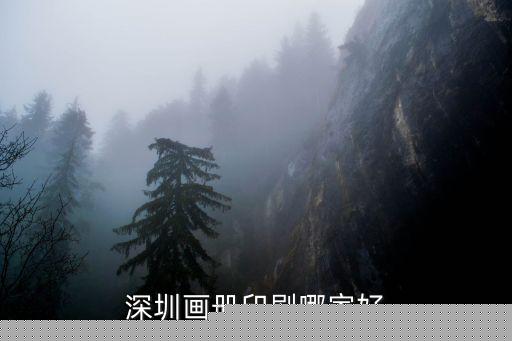 深圳市永雅印刷紙品包裝有限公司，深圳畫冊印刷哪家好