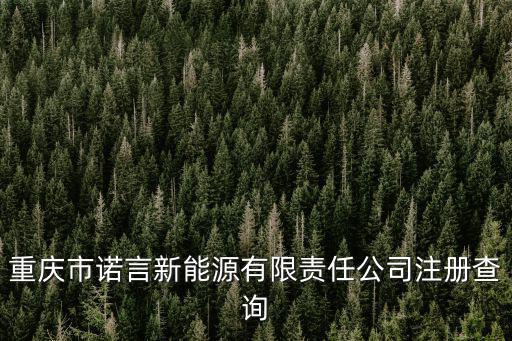 重慶市諾言新能源有限責(zé)任公司注冊查詢