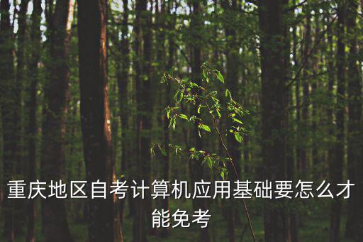 重慶市免計算機英語考試文件，重慶地區自考計算機應用基礎要怎么才能免考