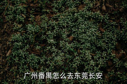 廣州番禺怎么去東莞長安