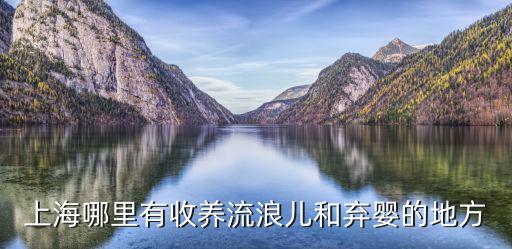 上海市哪里可以領養兒童，上海孤兒院有孩子領養嗎