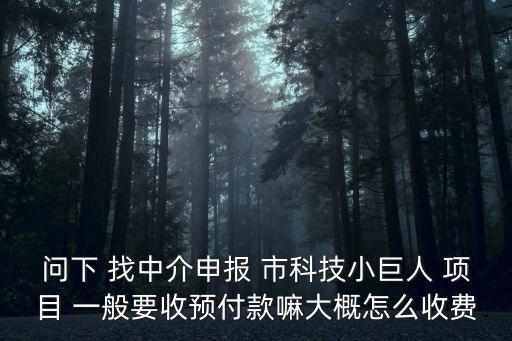 上海市科技小巨人培育企業申報，科技型中小企業可以申報的項目有