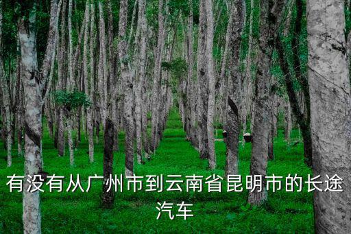 有沒有從廣州市到云南省昆明市的長途汽車
