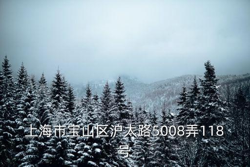 上海市寶山區(qū)滬太路5008弄118號