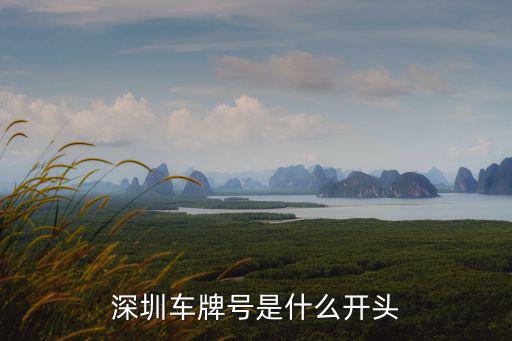 深圳車牌號是什么開頭