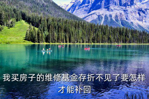 我買房子的維修基金存折不見了要怎樣才能補回