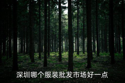 深圳哪個服裝批發市場好一點