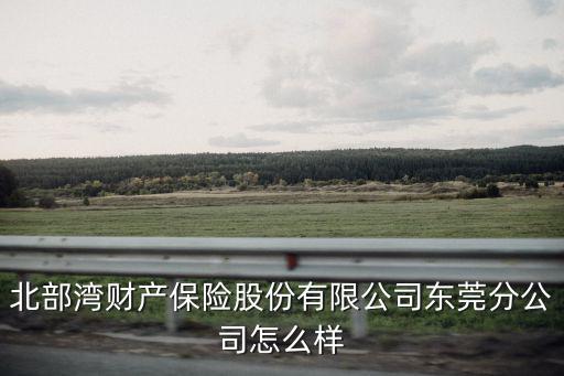北部灣財產保險股份有限公司東莞分公司怎么樣