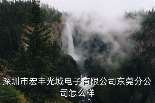 東莞長安宏豐光城電子，怎樣在網上發表舉報類文章