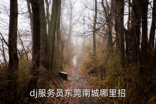 dj服務員東莞南城哪里招