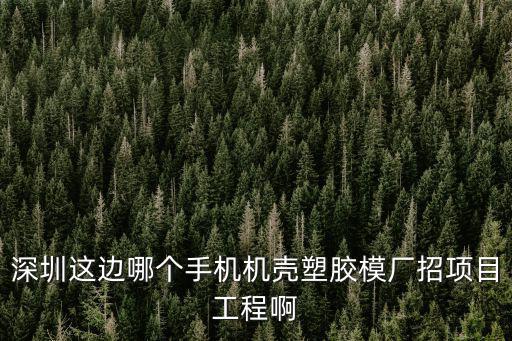 深圳這邊哪個手機機殼塑膠模廠招項目工程啊