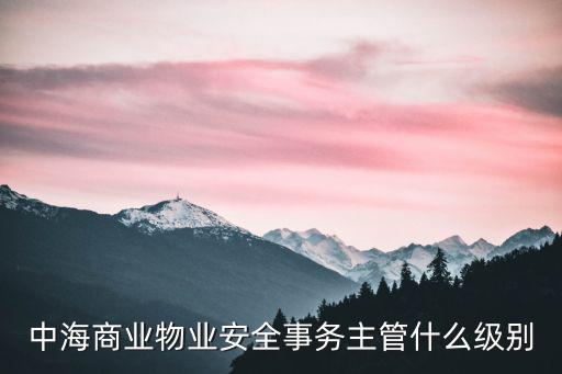 中海商業(yè)物業(yè)安全事務(wù)主管什么級(jí)別