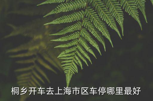 桐鄉(xiāng)開車去上海市區(qū)車停哪里最好