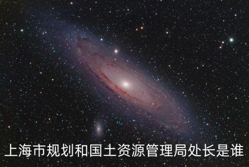 上海市規(guī)劃和國土資源管理局處長是誰
