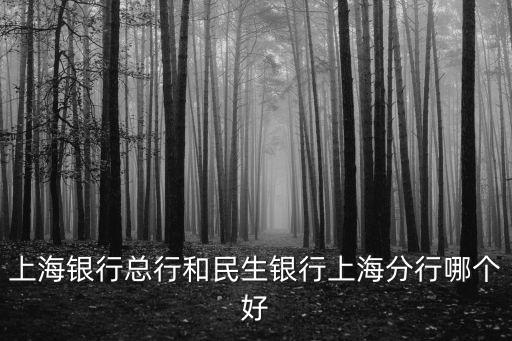 上海銀行總行和民生銀行上海分行哪個好