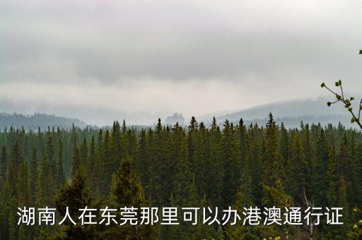 湖南人在東莞那里可以辦港澳通行證
