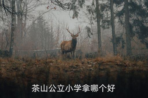 茶山公立小學(xué)拿哪個(gè)好