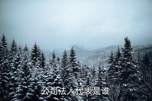 公司法人代表是誰