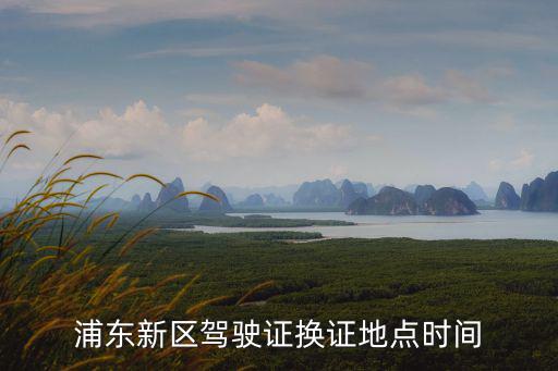浦東新區(qū)駕駛證換證地點(diǎn)時(shí)間