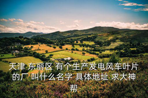 天津 東麗區 有個生產發電風車葉片的廠 叫什么名字 具體地址 求大神幫