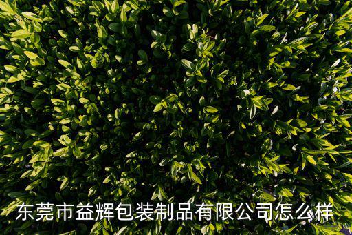 東莞市益輝包裝制品有限公司怎么樣