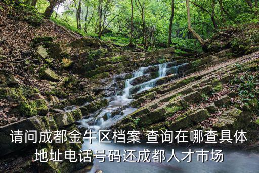 請(qǐng)問(wèn)成都金牛區(qū)檔案 查詢?cè)谀牟榫唧w地址電話號(hào)碼還成都人才市場(chǎng)