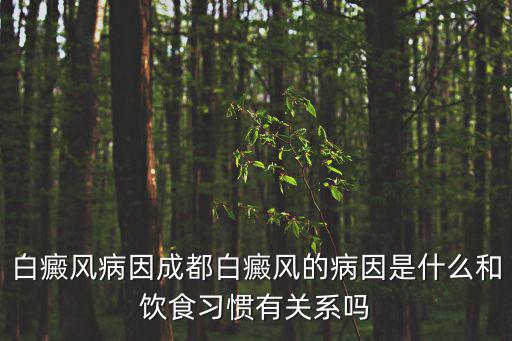 白癜風(fēng)病因成都白癜風(fēng)的病因是什么和飲食習(xí)慣有關(guān)系嗎