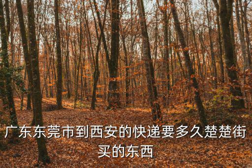 廣東東莞市到西安的快遞要多久楚楚街買的東西