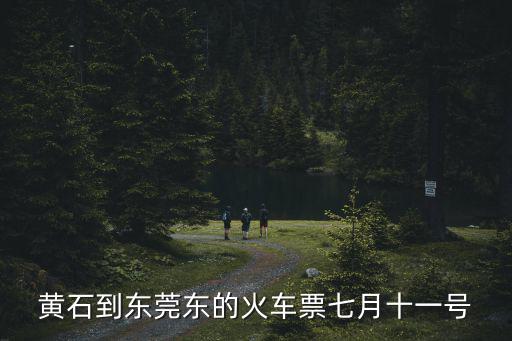 黃石到東莞東的火車票七月十一號