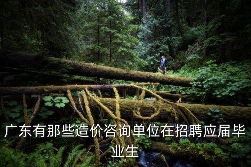 廣東有那些造價咨詢單位在招聘應屆畢業(yè)生