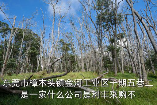 東莞市樟木頭鎮金河工業區一期五巷二是一家什么公司是利豐采購不