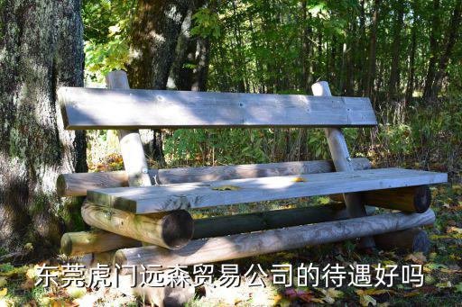 東莞虎門(mén)遠(yuǎn)森貿(mào)易公司的待遇好嗎
