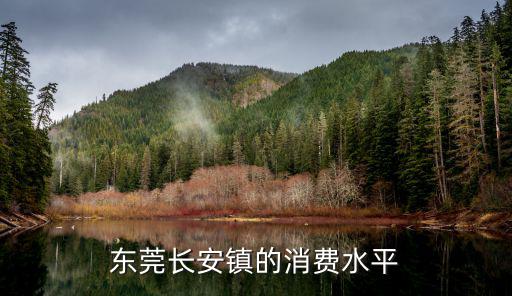 東莞長安鎮的消費水平
