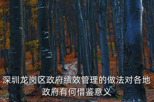 深圳龍崗區政府績效管理的做法對各地政府有何借鑒意義