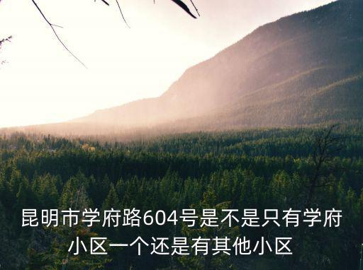 昆明虹山哪個小區房價最好，昆明市學府路604號是不是只有學府小區一個還是有其他小區