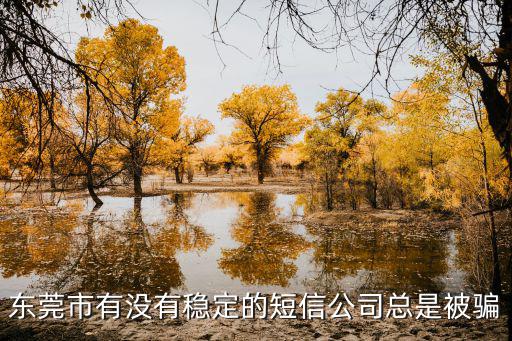 東莞市有沒有穩(wěn)定的短信公司總是被騙