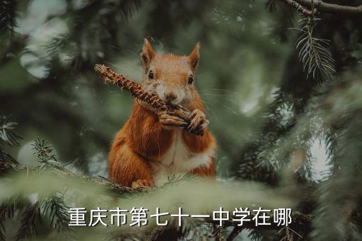 重慶市進盛中學地址，重慶市進盛實驗中學在哪兒